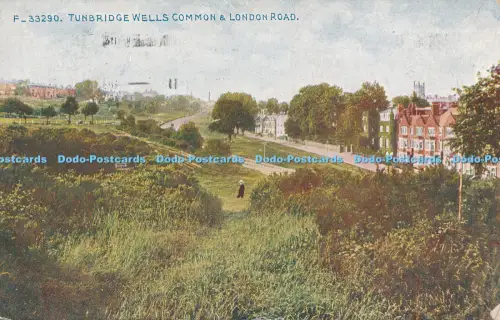 R048309 Tunbridge Wells Common and London Road Photochrom Celesque 1917