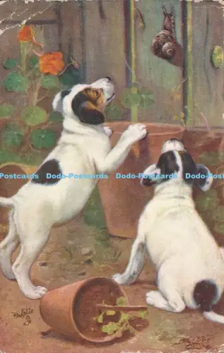 R048427 Wenn Hunde Welpen sind Steck Oilette Nr 9537 1909