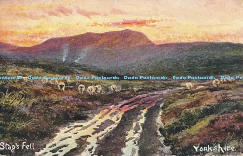 R048465 Hirsche Fell Yorkshire Hildesheimer 1906