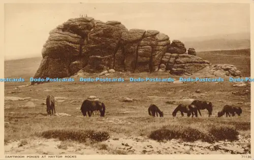 R048634 Dartmoor Ponys at Haytor Rocks Photochrom Nr. 71136