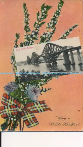 R048645 Spring o White Heather The Forth Bridge Pixie