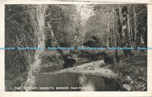 R048668 The Stream Queens Bower New Forest Sepia Gloss 1955