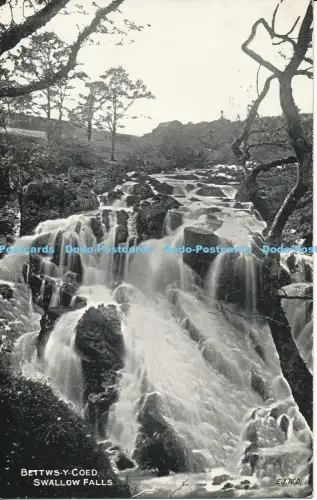 R048719 Betty Coed Swallow Falls 1937 Dennis