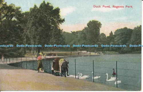 R048721 Duck Pond Regents Park