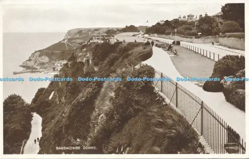 R048722 Babbacombe Downs Valentinstag Foto braun