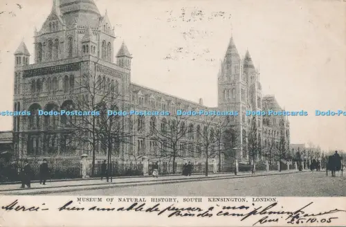R048734 Museum of Natural History South Kensington London 1905