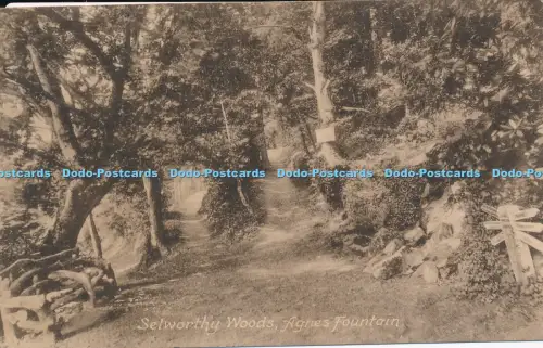 R048764 Selworthy Woods Agnes Brunnen Frith 1920