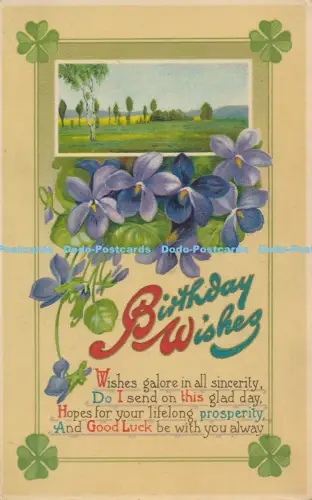 R048776 Grüße Geburtstagswünsche Blumen 1913