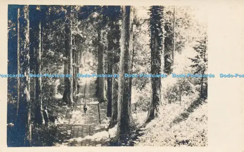 R048814 Alte AK Baumgasse
