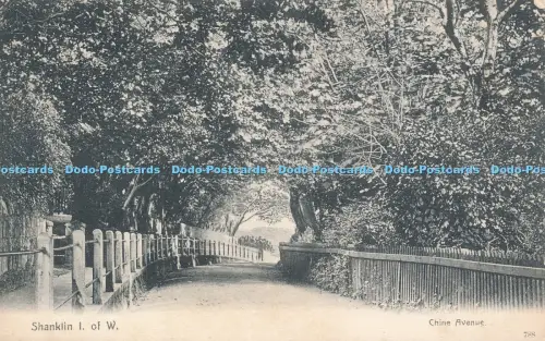 R048827 Shanklin I of W Chine Avenue Victoria