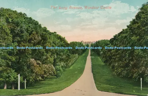 R048835 The Long Avenue Windsor Castle Valentine
