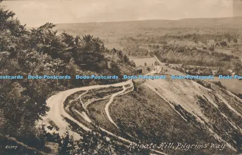 R048841 Reigate Hill Pilgerweg Frith Nr. 62787