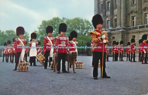 R048895 The Corps of Drums 1st Battalion Irish Guards