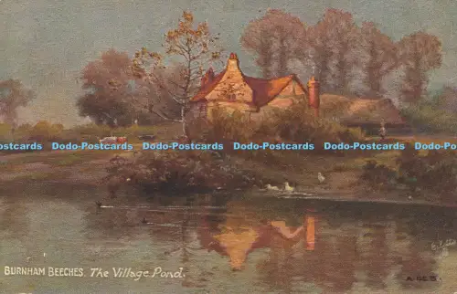 R048941 Burnham Beeches The Village Pond Tuck Oilette
