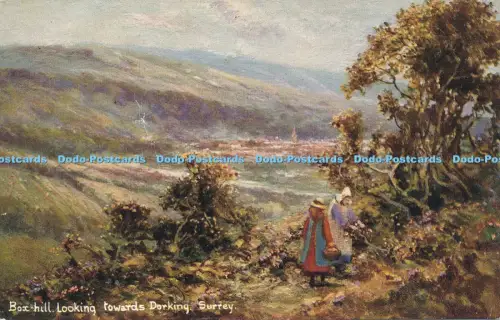 R048945 Box Hill Blick nach Dorking Surrey Hildesheimer Gesicht Simile