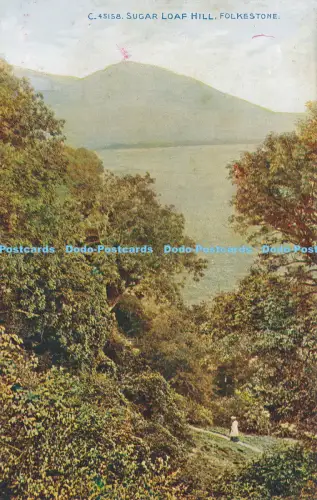 R048971 Zuckerhut Hügel Folkestone Photochrom Celesque