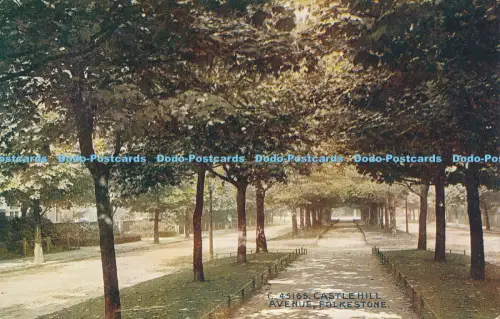 R048973 Castle Hill Avenue Folkestone Photochrom Celesque No C45165