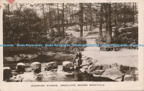 R048994 Stepping Stones Endcliffe Woods Sheffield Stiefel Pelham