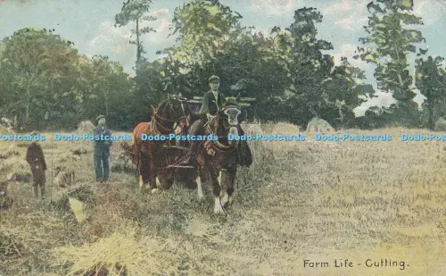 R049160 Farm Life Steckling