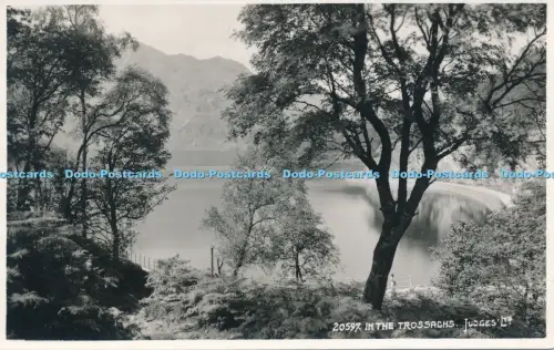 R049174 In den Trossachs Richter Ltd Nr 20597