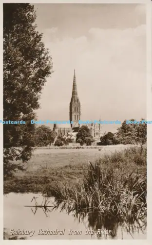 R049243 Kathedrale von Salisbury vom Fluss Foto Präzision Englisch RP