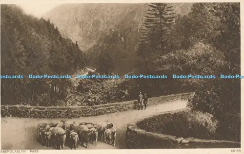 R049271 Aberglaslyn Pass Photochrom No 4018A