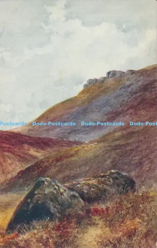 R049944 Dartmoor Salmon No 1597