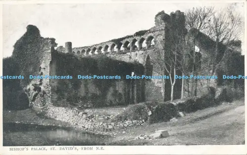 R050198 Bischofspalast St Davids aus N E Dodson