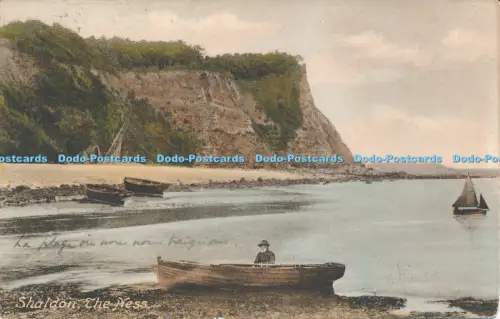 R050442 Shaldon The Ness Frith 1922
