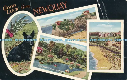 R050731 Good Luck from Newquay Multi View Valentine Valesque