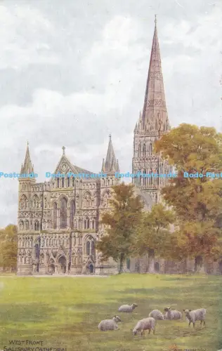 R050736 West Front Salisbury Cathedral Salmon No 1547