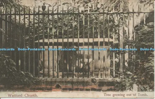R050799 Watford Kirche Baum Ausrillen aus Grab Schraubenschlüssel Serie 8637