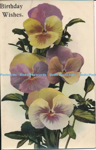 R051086 Geburtstagswünsche Blumen National 1913