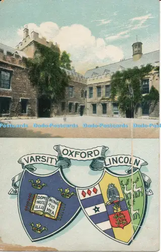 R051675 Varsity Oxford Lincoln