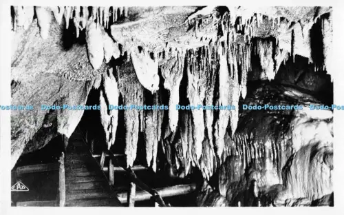 R052043 Les Grottes de Betharram Les Larmes Figees Nr 28