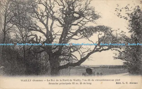 R052578 Wailly Le Roi de la Foret de Wailly L C Amiens