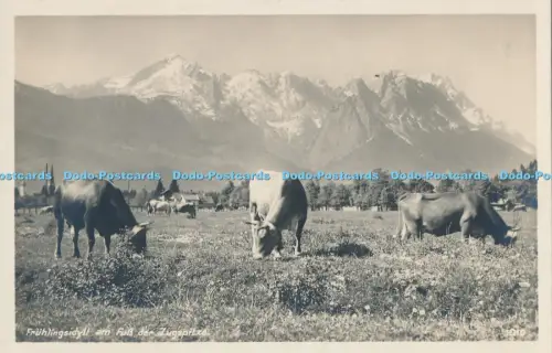 R053560 Fruhlingsidyll am Fuß der Zugspitze G Bischofberger