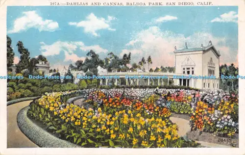 R054041 Dahlien und Cannas Balboa Park San Diego Calif M Kashower
