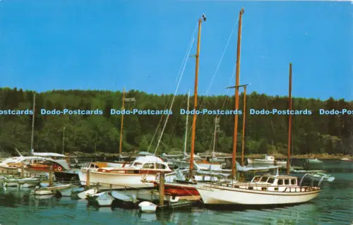 R054056 Nordosthafen Marina Acadia Nationalpark Mt Desert Island Maine Pau