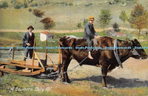 R054070 A Southern Tally Ho