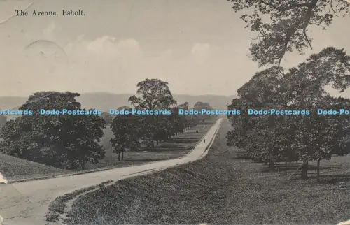 R054622 The Avenue Esholt 1911