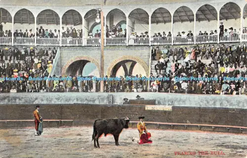 R055035 Teasing the Bull Adolph Selige