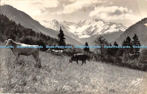 R055298 Paysages Alpestres Paturage Andre RP 1956