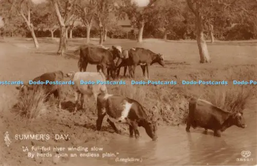 R055609 Sommertagsvieh Schwerdtfeger 1911