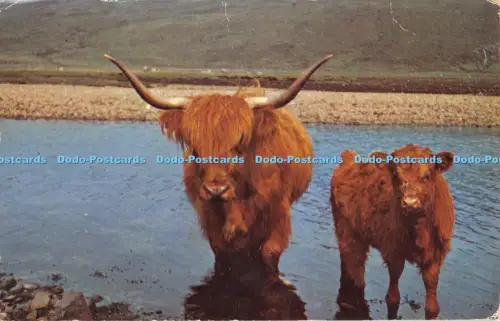 R055611 In Coll Waters 1972