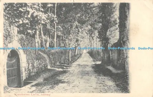 R056149 Vinchelez Lane Trikot 1903