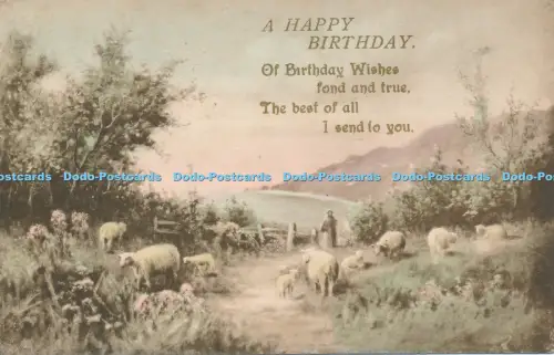 R056768 Gruß Postkarte A Happy Birthday Schafe