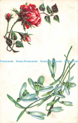 R056915 Alte AK Rote Rose