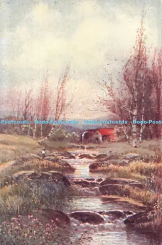 R056922 Alte AK Fluss und Felsen Bäume und Haus