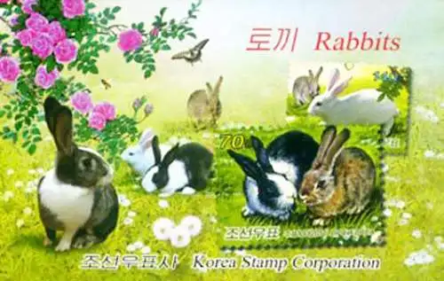 Neujahr des Kaninchens 2011.